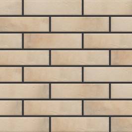 Клінкерна фасадна плитка Retro brick Salt 245х65х8 