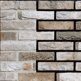 Цегла ручного формування Engels Carthago Carrera WF 210x100x50