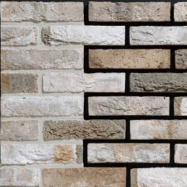 Цегла ручного формування Engels Carthago Carrera WF 210x100x50