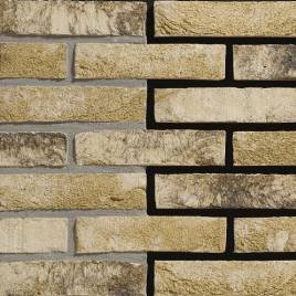 Кирпич ручной формовки Engels Tanganyika WF 210x100x50