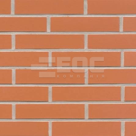 	 Клинкерная фасадная плитка R220 LDF14 290x52x14