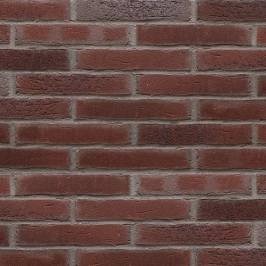 Клинкерная фасадная плитка R664 LDF14 290x52x14
