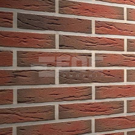 Клинкерная фасадная плитка R665 LDF14 290x52x14