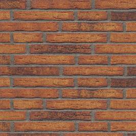 Клинкерная фасадная плитка R684 LDF14 290x52x14
