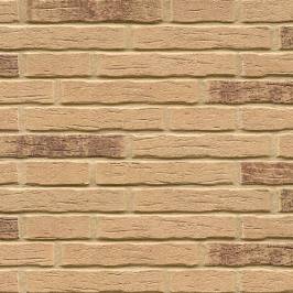 Клинкерная фасадная плитка R688 LDF14 290x52x14