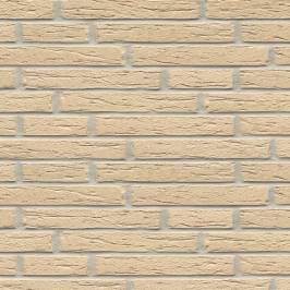 Клінкерна фасадна плитка R691 LDF14 290x52x14