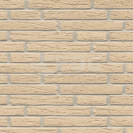 	Клинкерная фасадная плитка R691 LDF14 290x52x14