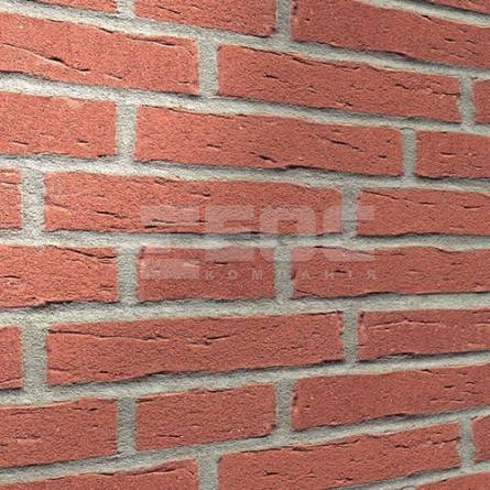 Клинкерная фасадная плитка R694 LDF14 290x52x14