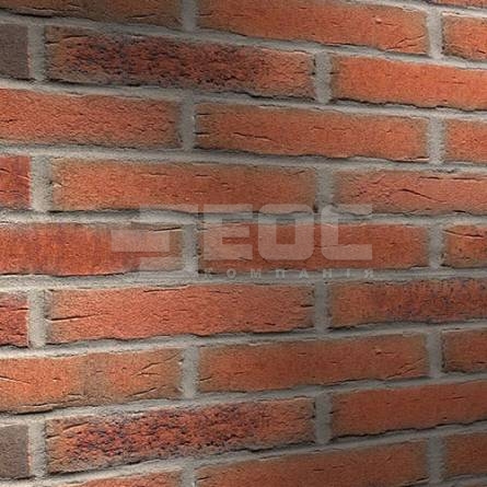 Клинкерная фасадная плитка R698 LDF14 290x52x14