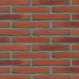 Клинкерная фасадная плитка R698 LDF14 290x52x14
