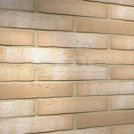 	Клинкерная фасадная плитка R730 LDF14 290x52x14