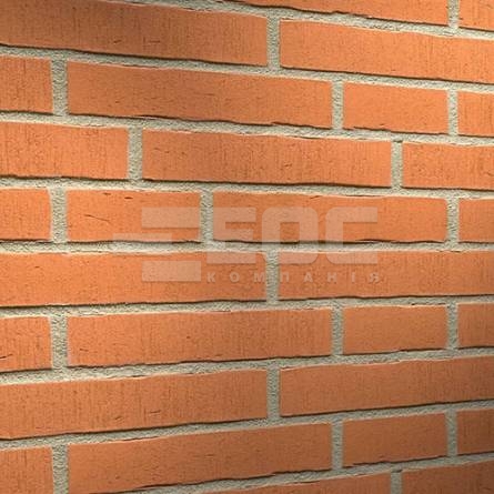 Клинкерная фасадная плитка R731 LDF14 290x52x14