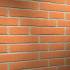 Клинкерная фасадная плитка R731 LDF14 290x52x14