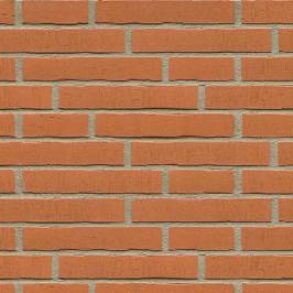 Клинкерная фасадная плитка R731 LDF14 290x52x14