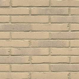 Клинкерная фасадная плитка R732 LDF14 290x52x14