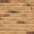 Клинкерная фасадная плитка R734 LDF14 290x52x14