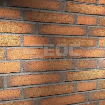 	Клинкерная фасадная плитка R758 LDF14 290x52x14