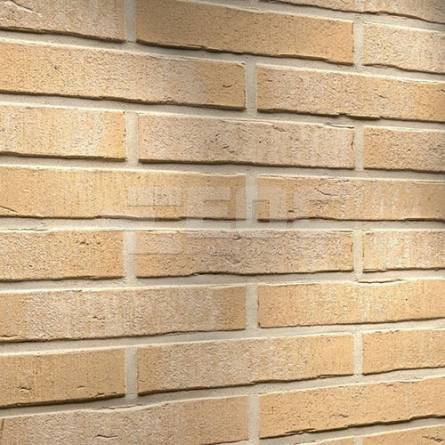 	Клинкерная фасадная плитка R762 LDF14 290x52x14