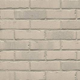 Клинкерная фасадная плитка R732 NF14 240x14x71