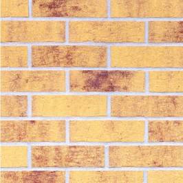 Клінкерна фасадна плитка King Klinker HF13 Amber Sea 240x71x10