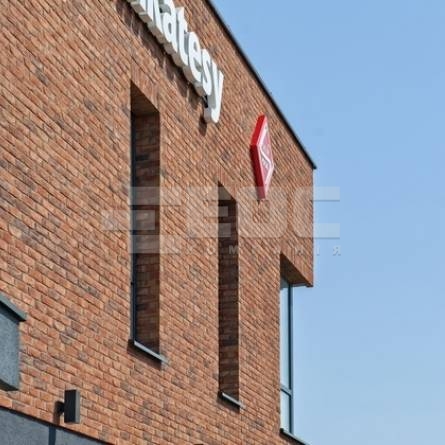 Цегла ручного формування Vandersanden 18 Viola Light WF-S 214x72x50