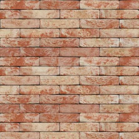 Кирпич ручной формовки NELISSEN 10 Klampsteen Kesselt 215x100x65 купить в Киеве. Фото, цена, продажа