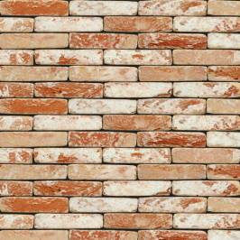 Кирпич ручной формовки NELISSEN 38T Hebe 210x100x50
