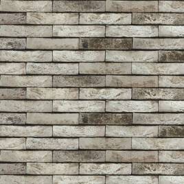 Цегла ручного формування NELISSEN 94S Borlo Sintered 210x100x50