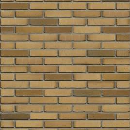 Цегла ручного формування Rijswaard Aqua Beige Redux 210x100x50