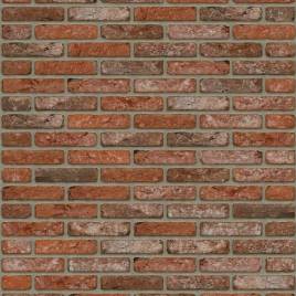 Цегла ручного формування Rijswaard Boise HV 210x100x50