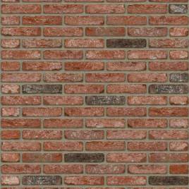 Цегла ручного формування Rijswaard Cheyenne HV 210x100x50