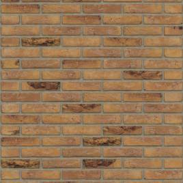 Цегла ручного формування Rijswaard Gamers bont HV 210x100x50