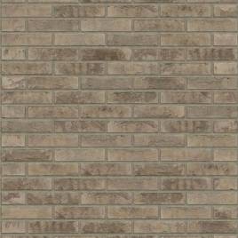 Цегла ручного формування Rijswaard Lepus HV 210x100x50