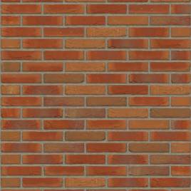 Цегла ручного формування Rijswaard Virgo HV 210x100x50