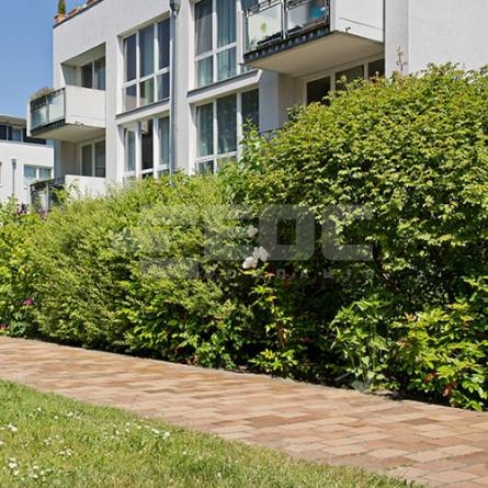 Тротуарная клинкерная брусчатка 06S Hellbraun Bunt Spezial 200x100x40