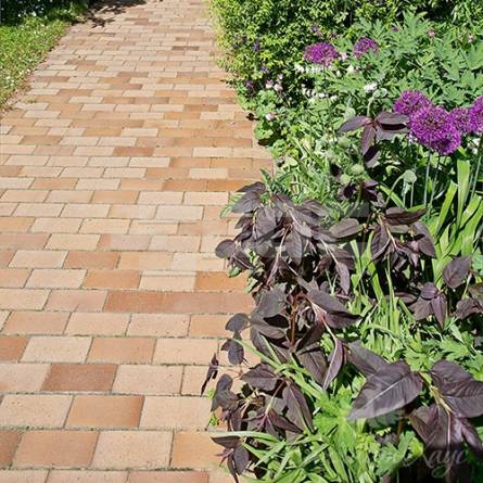 Тротуарная клинкерная брусчатка 06S Hellbraun Bunt Spezial 240x55x52
