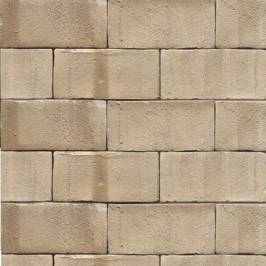 Тротуарная клинкерная брусчатка 36 Silbergrau Nuanciert 200x100x52