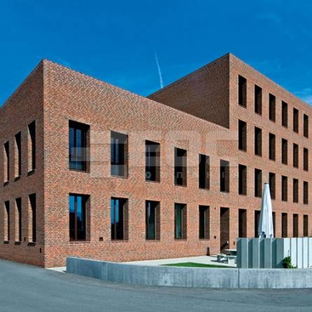 Фасадная плитка ручной формовки Wasserstrich светло-красный пестрый NF 240x14x71