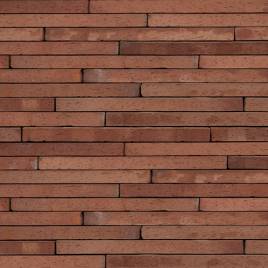 Кирпич ручной формовки S.Anselmo Corso Terra CT 001 RS 500x49x40