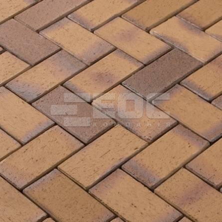 Тротуарна клінкерна бруківка Vandersanden Reggio 200x100x52