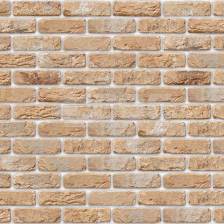 Фасадная плитка ручной формовки 20 Oud Kuststeen DF 210x20x65