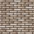 Фасадная плитка ручной формовки 79 Anicius DF 210x20x65