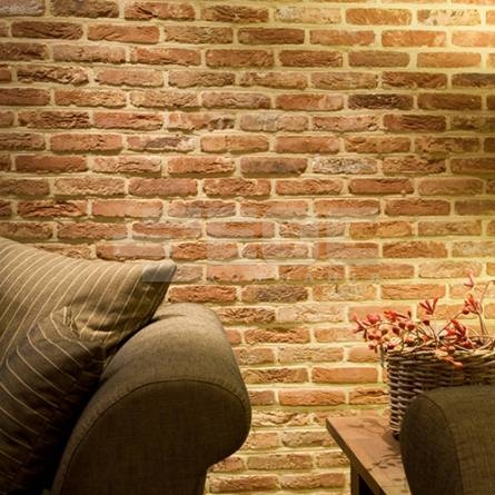 Фасадная плитка ручной формовки 60 Oud Brabant М50 190x20x50