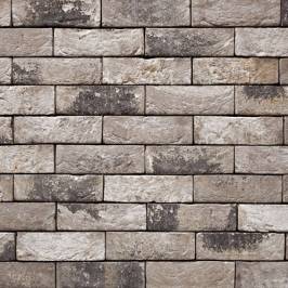Vandersanden фасадна плитка ручного формування 155 Vecto WF 210x20x50