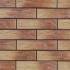 	Клинкерная фасадная плитка CER 3 Autumn Leaf 300x148x9