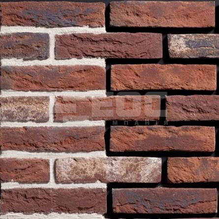 Цегла ручного формування Engels Kameleon WF 210x100x50
