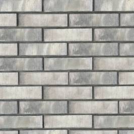 Фасадная плитка Туман NF 08 250х65х20 Good Brick
