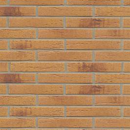 Клінкерна фасадна плитка R287 LDF14 290x52x14