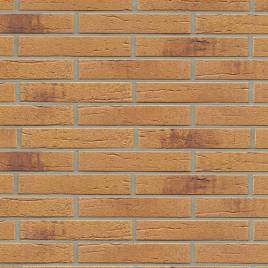 Клінкерна фасадна плитка R287 LDF14 290x52x14