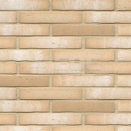 	Клинкерная фасадная плитка R730 LDF14 290x52x14